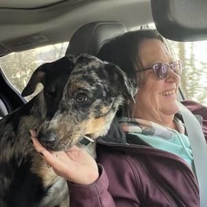 Meet your Posher, Ann